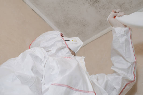 Best Residential Mold Removal  in Horseheads North, NY