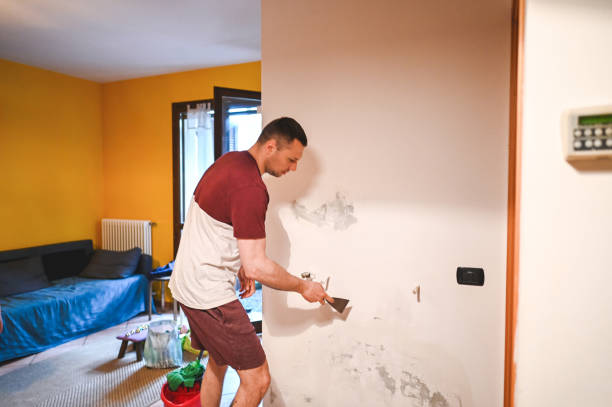 Best Mold Cleaning Services  in Horseheads North, NY
